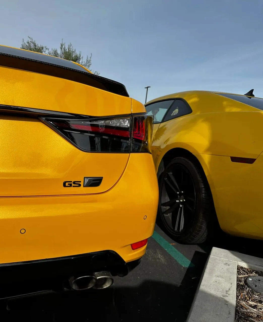 Yellow Lexus GSF parked beside another yellow car.